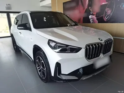 2023 BMW X1 sDrive20Li X Design Package, фото 4, лот 10467265