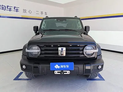 2021 Tank 300 Off-road Version 2.0T Conqueror, фото 2, лот 10344339