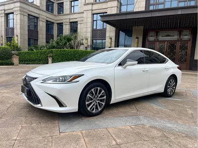 2024 Lexus ES 200 Premium Edition, фото 2, лот 10386338