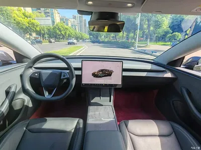 2025 Tesla Model 3 Model Rear-Wheel Drive Edition, фото 4, лот 10369282