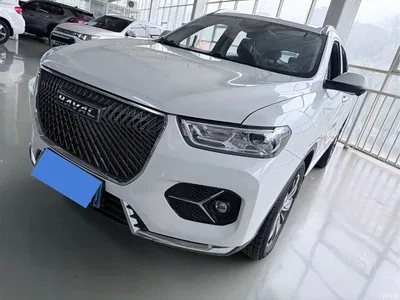 2020 Haval H6 1.5GDIT Automatic Platinum Ultra Luxury Edition, фото 1, лот 10298394