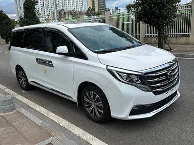 2018 GAC Trumpchi Trumpchi M8 320T Premium Edition, фото 2, лот 10415225