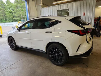 2023 LEXUS NX 350, фото 2, лот 10843935