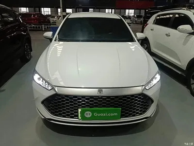 2023 BYD Qin PLUS Champion Edition DM-i 55KM Leading, фото 3, лот 11140999