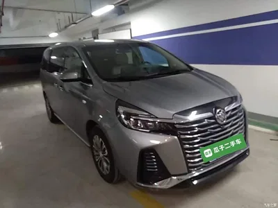2023 Buick GL8 Facelift Land Business Class Luxury, фото 4, лот 11212456