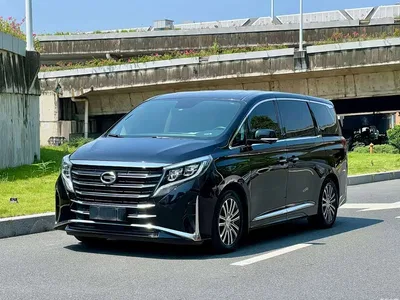 2021 GAC Trumpchi Trumpchi M8 Leading Show Series 390T Ultimate Edition, фото 1, лот 10398190
