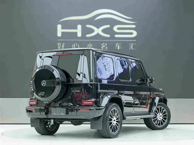2020 Mercedes-Benz G-Class G 500 Time Inscription Special Edition, фото 4, лот 10280580