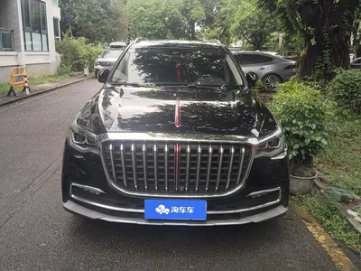 2019 Hongqi HS7 3.0T Automatic 4WD Smart Connection Flag Smooth Edition, фото 2, лот 10288120