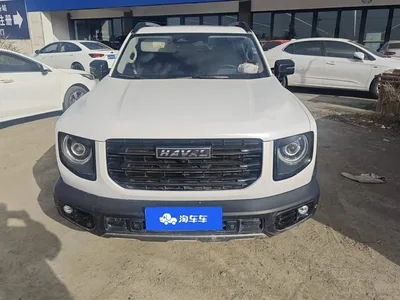 2021 Haval Big Dog 2.0T DCT AWD Howling Celestial Dog Edition, фото 2, лот 10902422