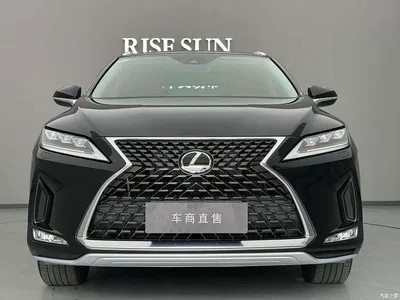 2021 Lexus RX 300 AWD F SPORT, фото 2, лот 11191160