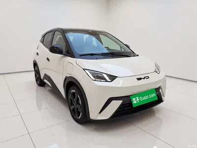 2023 BYD Seagull Freedom Edition, фото 3, лот 10999091