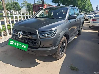 2024 Great Wall Pao 2.4T Off-Road Automatic Diesel 4WD Premium Edition, фото 2, лот 10246297