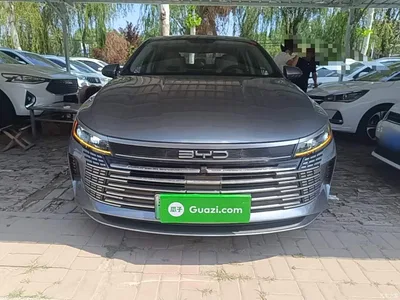 2023 BYD Destroyer 05 Champion Edition DM-i 55KM Premium, фото 3, лот 10267816