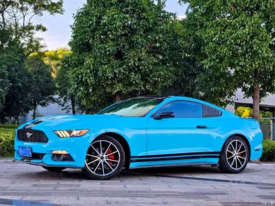 2016 Ford Mustang 2.3T Performance Edition, фото 1, лот 10294075