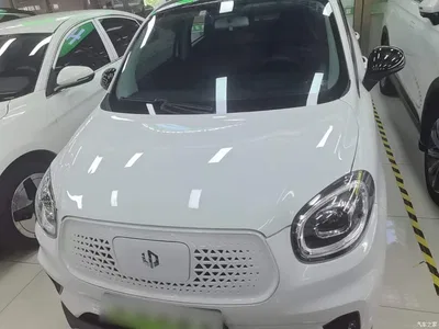 2020 Leapmotor T03 400 Comfort Edition, фото 1, лот 10441929