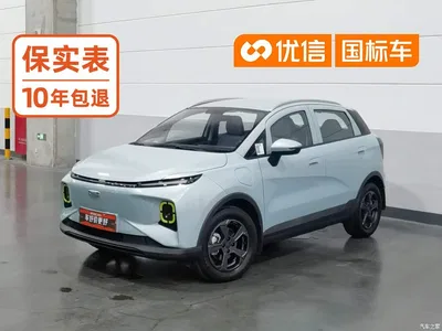 2023 Geely E Firefly 320KM Cute Tiger 5-seater, фото 1, лот 11157010