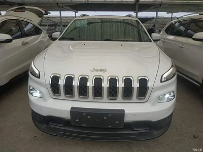 2016 Jeep Cherokee 2.4L Leading Edition, фото 3, лот 10291968