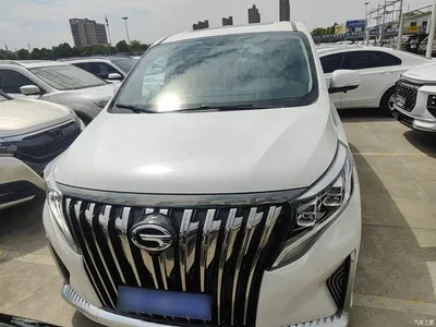 2020 GAC Trumpchi Trumpchi M8 Pilot 390T Premium Edition, фото 3, лот 10476487