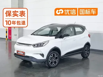 2021 BYD Yuan Pro Eternal Love Edition, фото 1, лот 10363722