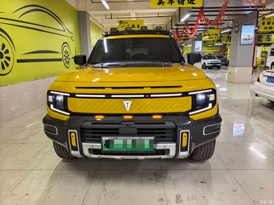 2025 Deepal Deep Blue G318 Worry-free Cross Country 4WD Mountain Edition, фото 2, лот 11645897