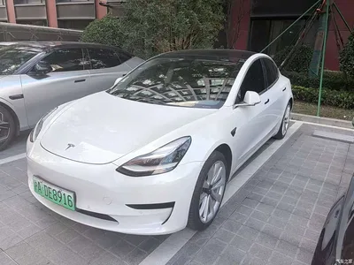 2019 Tesla Model 3 Standard Range Rear-Wheel Drive Upgrade, фото 1, лот 10368962