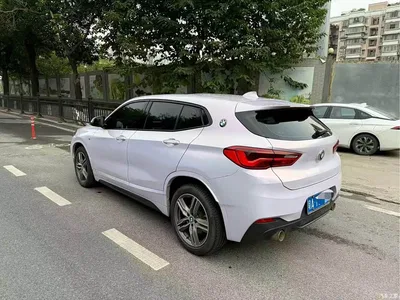 2020 BMW X2 sDrive25i Leading M Sport Package, фото 3, лот 10898539