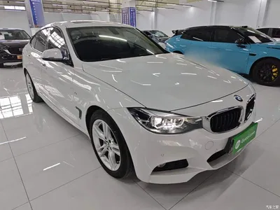 2019 BMW 3 Series GT 320i M Sport Package, фото 4, лот 11460524