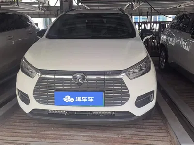 2019 BYD Yuan New Energy EV535 High Energy Navigation Edition, фото 2, лот 10273637