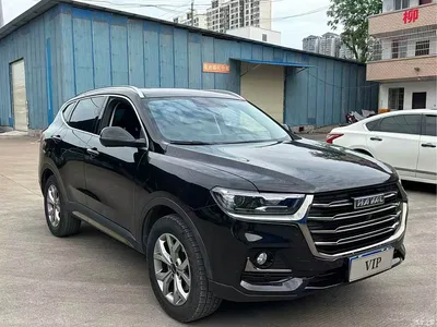 2021 Haval H6 National Trend Edition 1.5GDIT Automatic Champion Edition, фото 3, лот 10281816