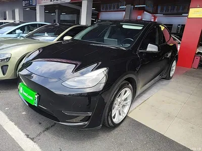 2021 Tesla Model Y Standard Range Rear-Wheel Drive, фото 2, лот 10390067