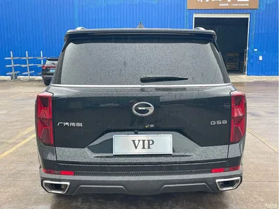 2024 GAC Trumpchi Trumpchi GS8 Navigator Series 2.0TGDI 2WD Luxury Smart Connect Edition, фото 4, лот 10418297