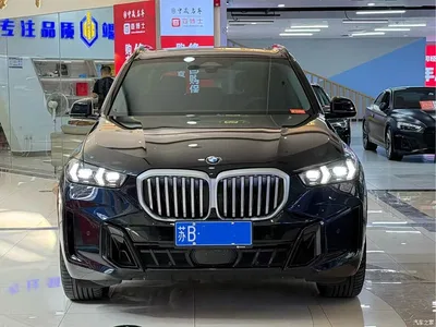 2025 BMW X5 Model xDrive 30Li Exclusive M Sport Blackout Package, фото 2, лот 10421105