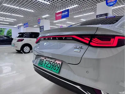 2022 Geely Emgrand L HiP 1.5TD-DHT Pro 100KM Super Rui, фото 4, лот 10999243