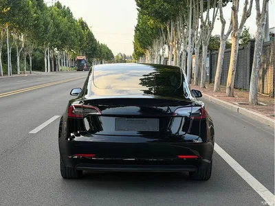 2023 Tesla Model 3 Rear-Wheel Drive, фото 4, лот 10368742