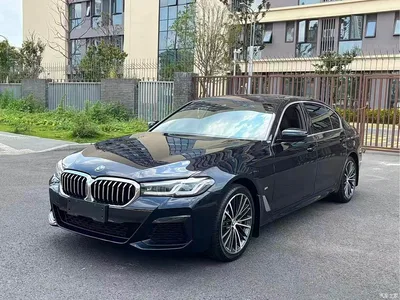 2022 BMW 5 Series 530Li Leading Luxury Package, фото 1, лот 11580829