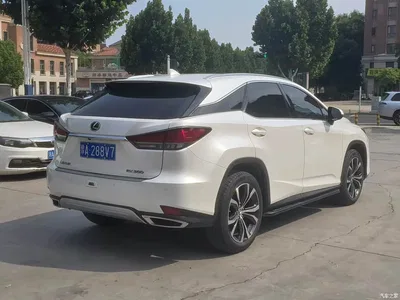 2020 Lexus RX Facelift 300 AWD Elegance Edition, фото 4, лот 10315773