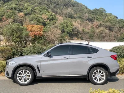 2015 BMW X6 xDrive28i, фото 3, лот 10469213