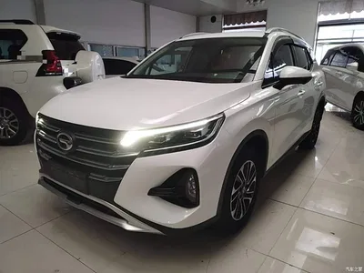 2020 GAC Trumpchi Trumpchi GS4 270T Automatic Smart Connect Tech Version, фото 1, лот 10422392
