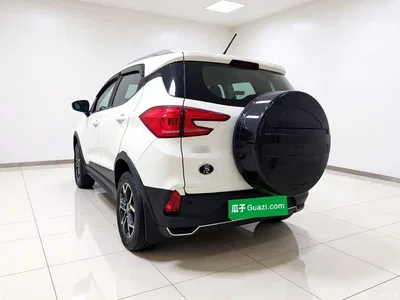 2021 BYD Yuan Pro 401KM Premium Model, фото 4, лот 11111071