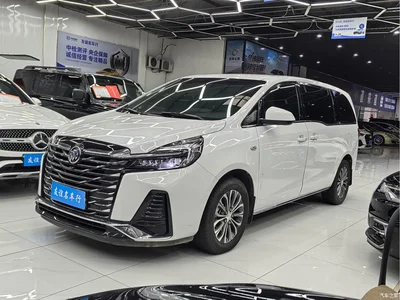 2023 Buick GL8 Model Land Business Class Smart, фото 3, лот 10255703