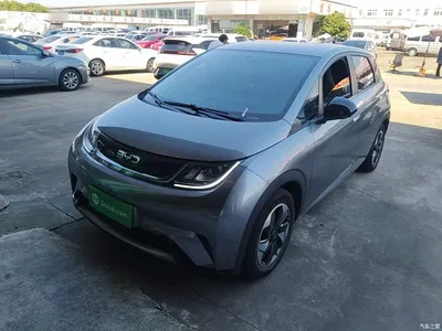 2024 BYD Dolphin Glory Edition 420km Freedom Edition, фото 2, лот 11569081