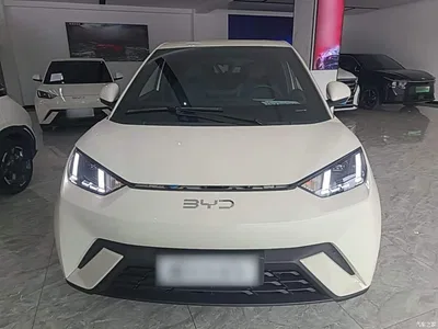 2024 BYD Seagull Glory Edition 305km Freedom Edition, фото 3, лот 11181049