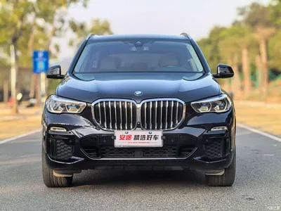 2020 BMW X5 (Import) xDrive40i M Sport Package, фото 2, лот 10239040