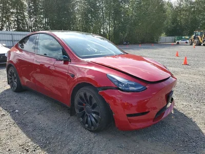 2023 TESLA MODEL Y, фото 4, лот 10856424