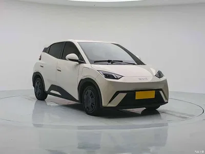 2024 BYD Seagull Glory Edition 305km Vitality Edition, фото 3, лот 11584988