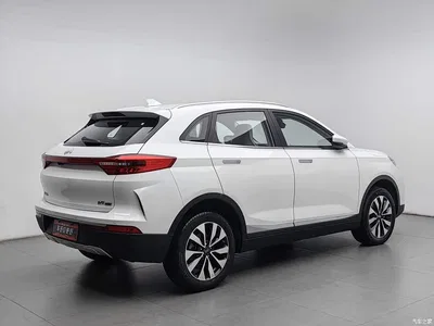 2019 Weltmeister EX5 Lite Explorer Edition 400, фото 2, лот 11341514