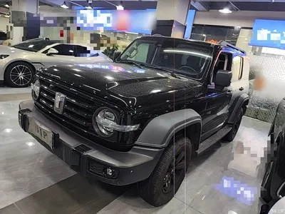 2021 Tank 300 Off-road Version 2.0T Conqueror, фото 1, лот 11205661