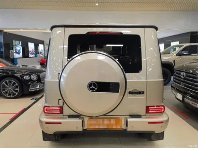 2020 Mercedes-Benz G-Class G 350, фото 4, лот 10481890