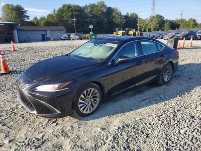2019 LEXUS ES 350, фото 1, лот 10849090