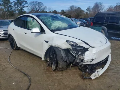 2023 TESLA MODEL Y, фото 4, лот 10857382